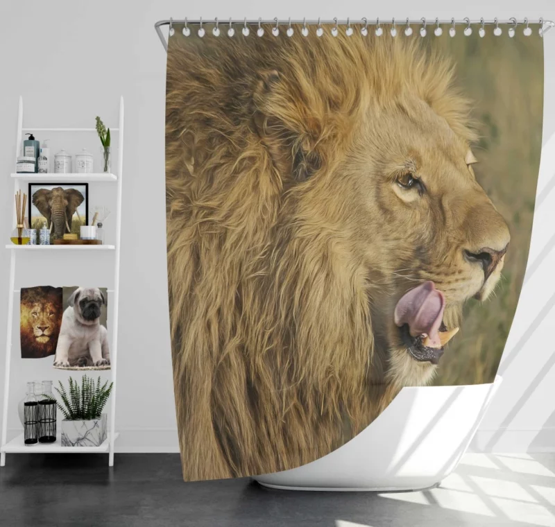 Lion Regal Stance Wilderness Dominance Shower Curtain