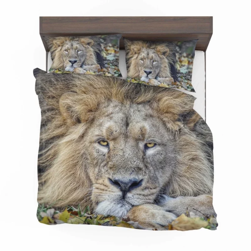 Lion Rest Regal Serenity Bedding Set 1