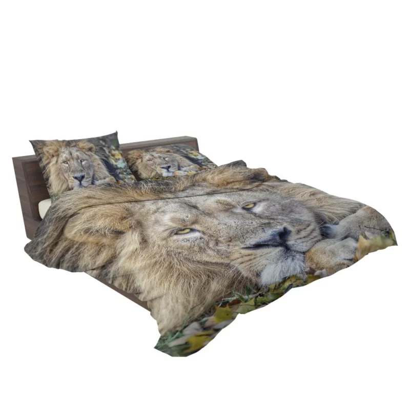 Lion Rest Regal Serenity Bedding Set 2