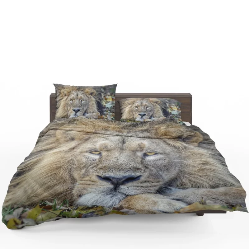 Lion Rest Regal Serenity Bedding Set