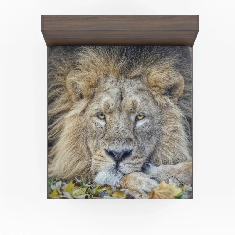 Lion Rest Regal Serenity Fitted Sheet 1