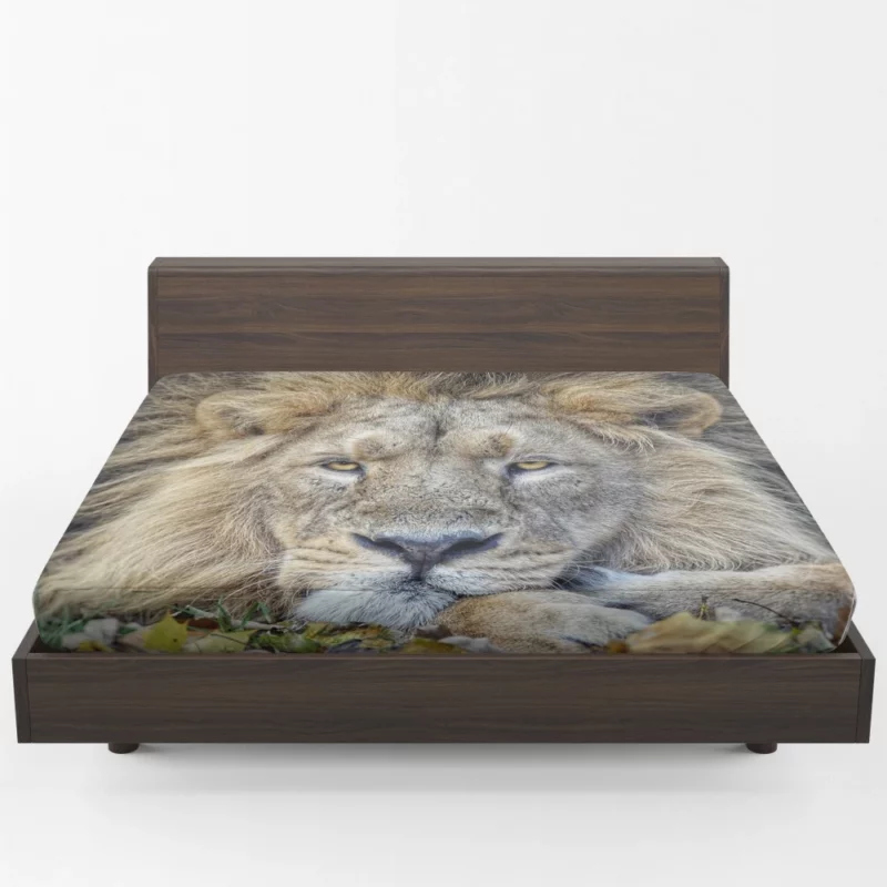 Lion Rest Regal Serenity Fitted Sheet