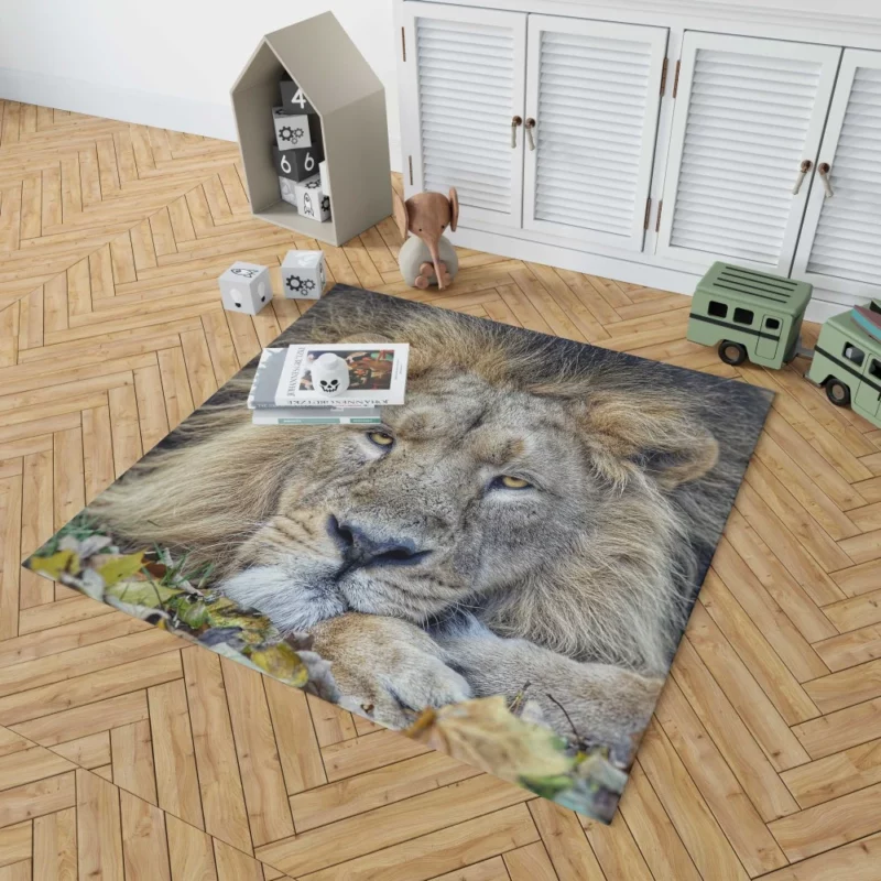 Lion Rest Regal Serenity Rug 1