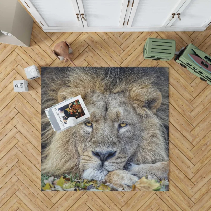 Lion Rest Regal Serenity Rug