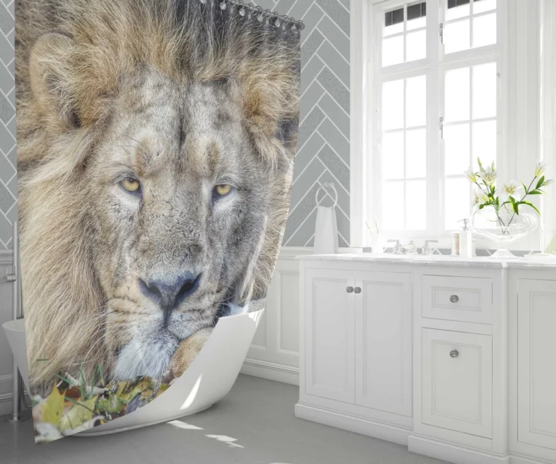 Lion Rest Regal Serenity Shower Curtain