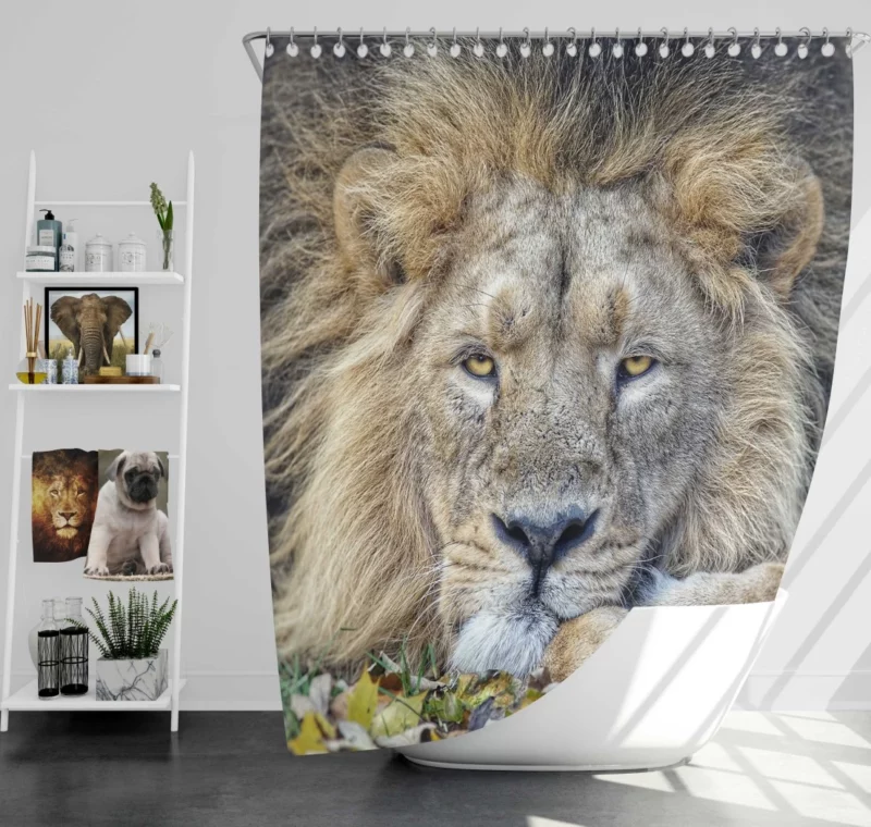 Lion Rest Regal Serenity Shower Curtain