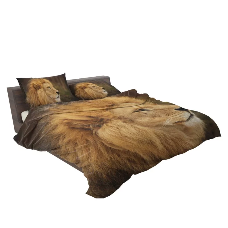 Lion Roar Majestic Anthem Bedding Set 2