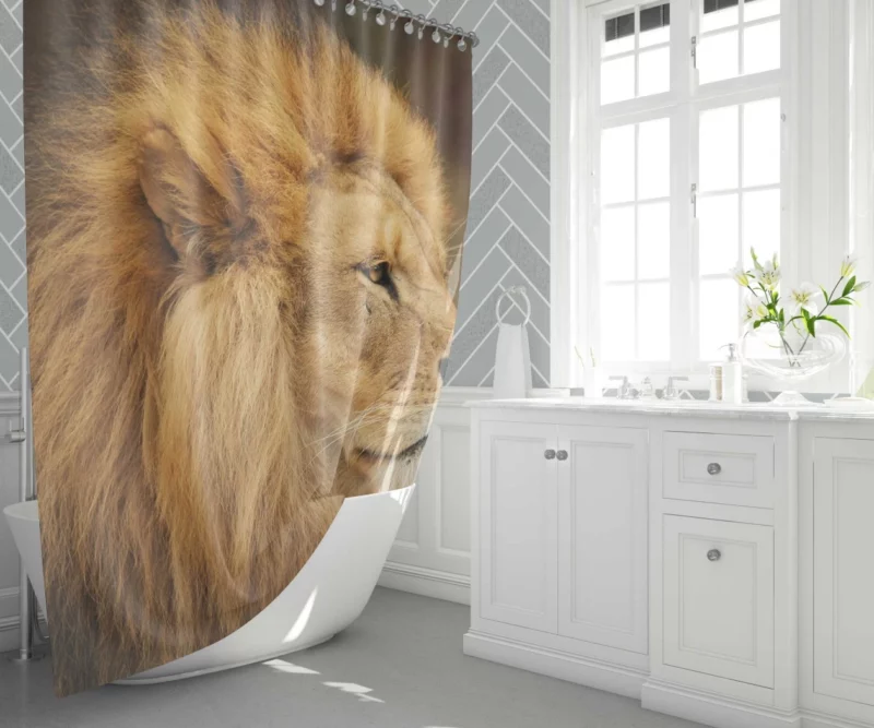 Lion Roar Majestic Anthem Shower Curtain 1