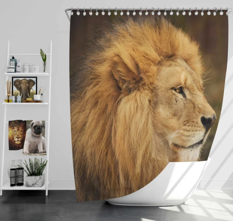 Lion Roar Majestic Anthem Shower Curtain