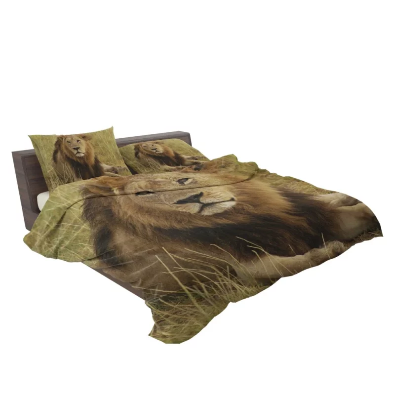 Lion Roar Monarch of the Wilderness Bedding Set 2