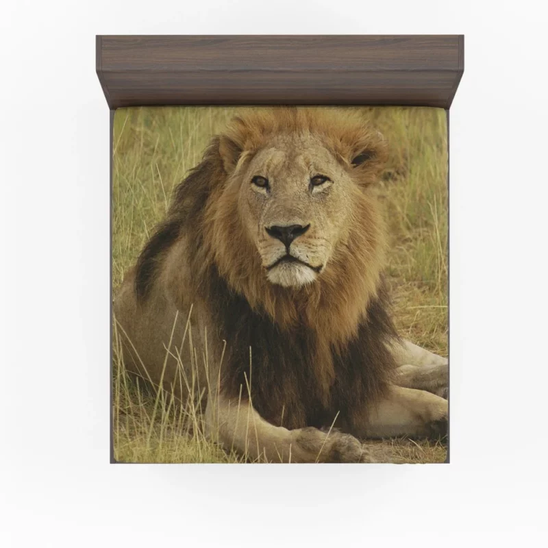 Lion Roar Monarch of the Wilderness Fitted Sheet 1