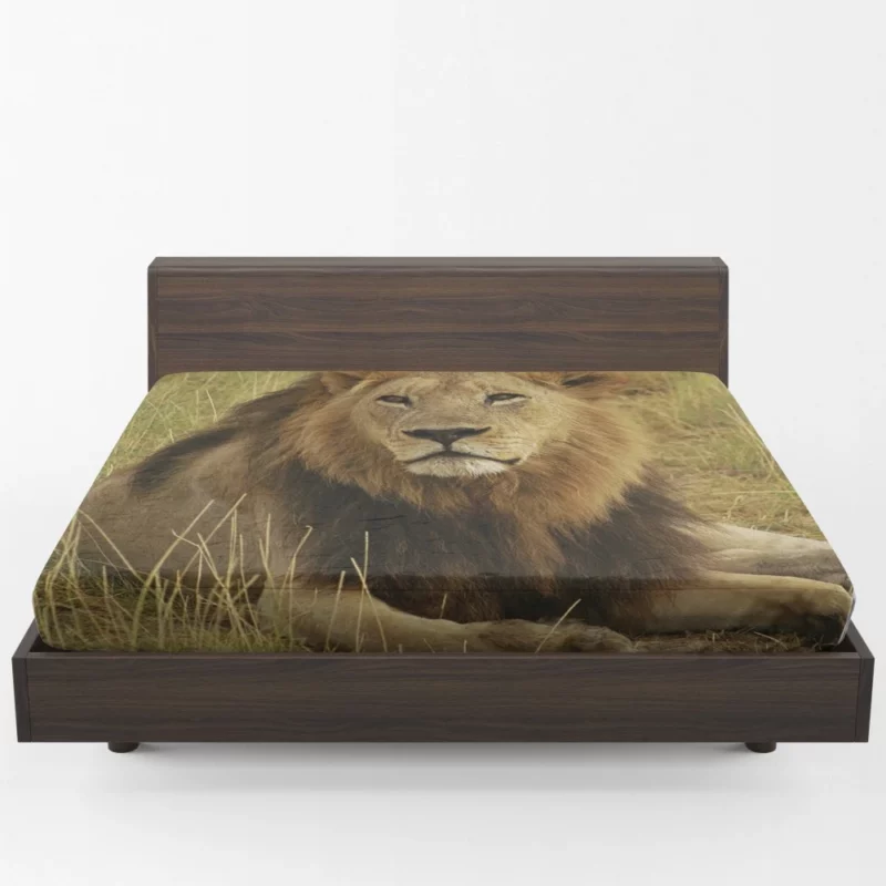 Lion Roar Monarch of the Wilderness Fitted Sheet