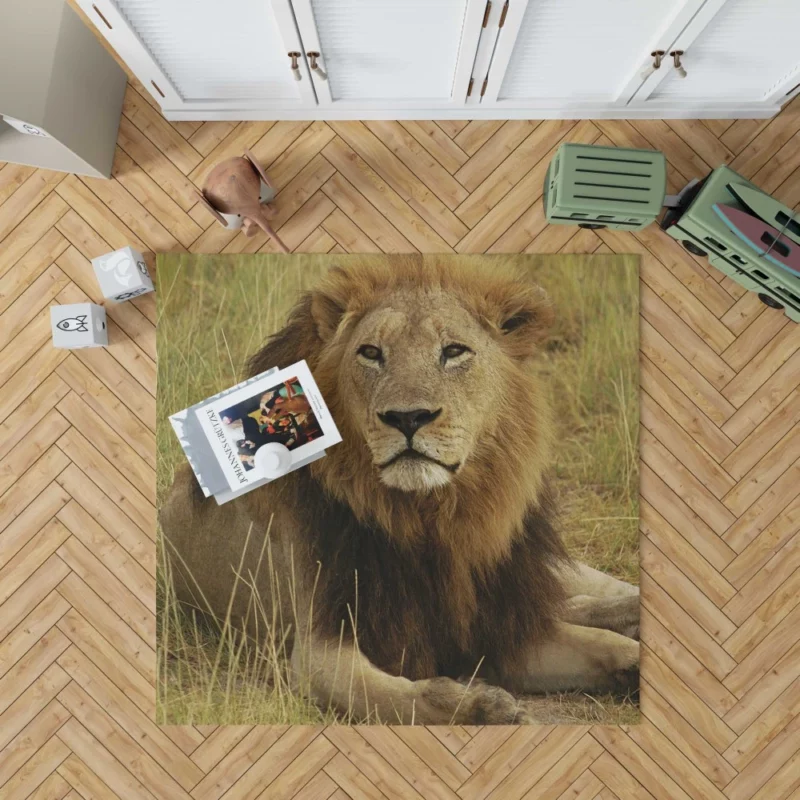 Lion Roar Monarch of the Wilderness Rug