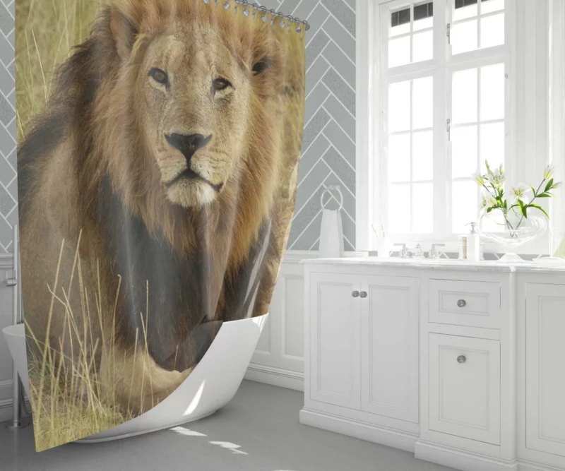 Lion Roar Monarch of the Wilderness Shower Curtain 1