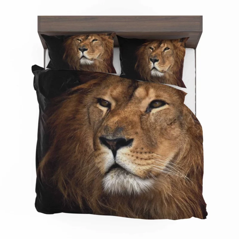 Lion Royal Demeanor Bedding Set 1