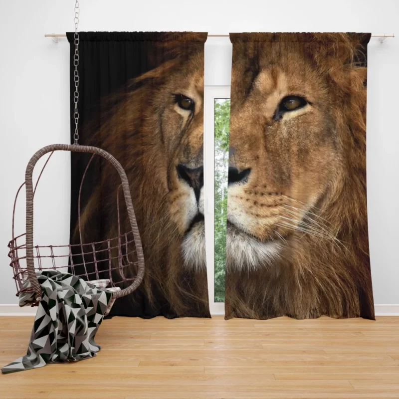 Lion Royal Demeanor Curtain