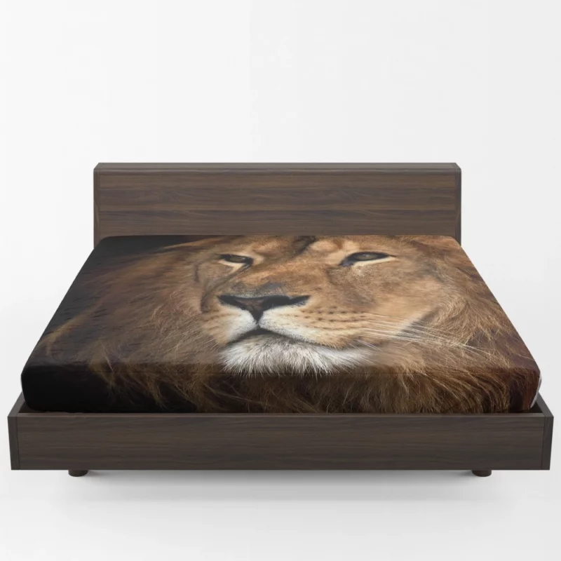 Lion Royal Demeanor Fitted Sheet