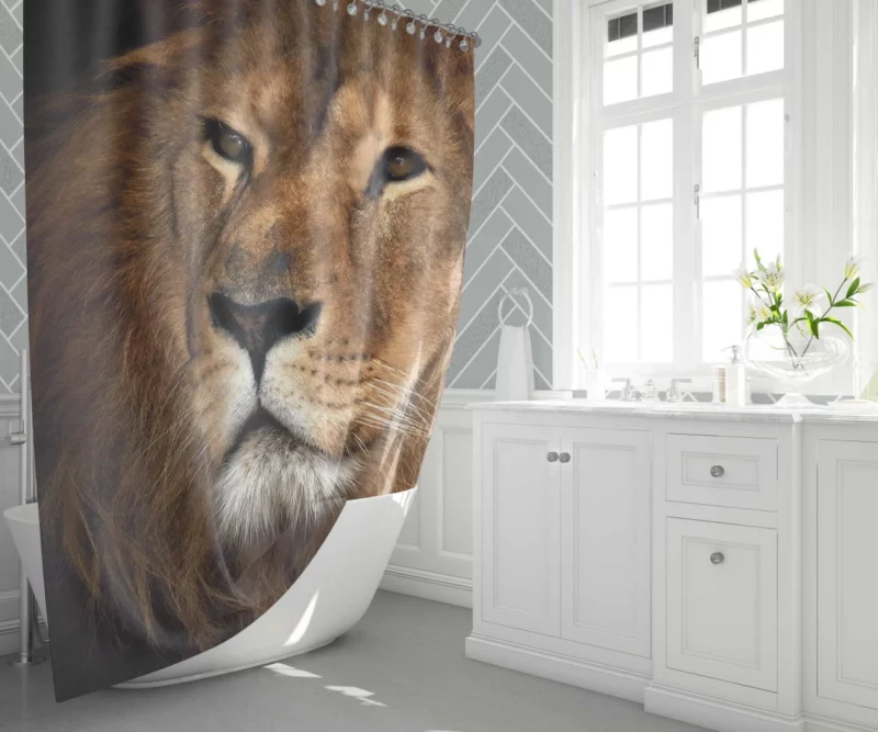 Lion Royal Demeanor Shower Curtain 1