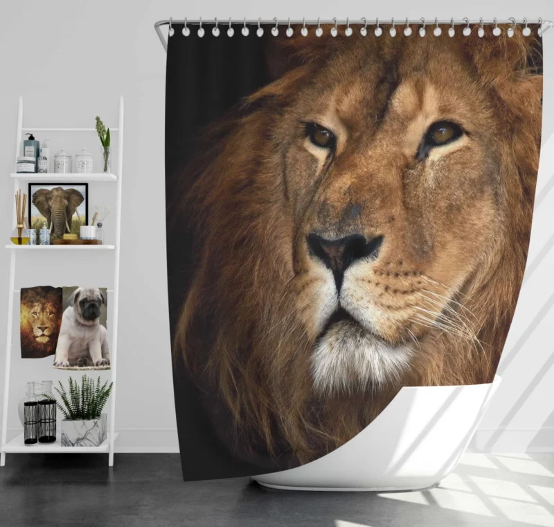 Lion Royal Demeanor Shower Curtain