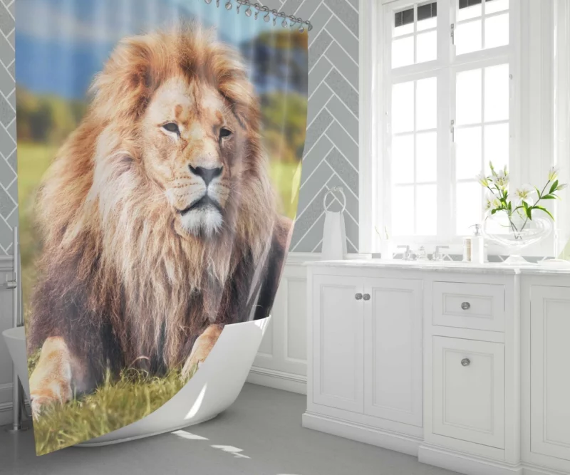 Lion Sentinel Watchful Wilderness Guardian Shower Curtain 1