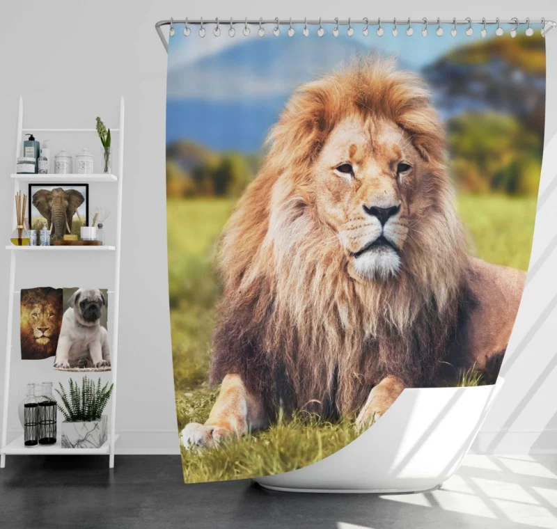 Lion Sentinel Watchful Wilderness Guardian Shower Curtain