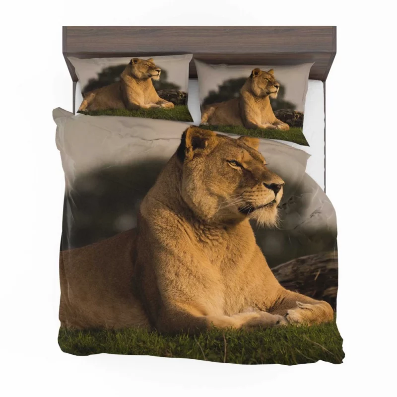 Lion Solitary Bedding Set 1