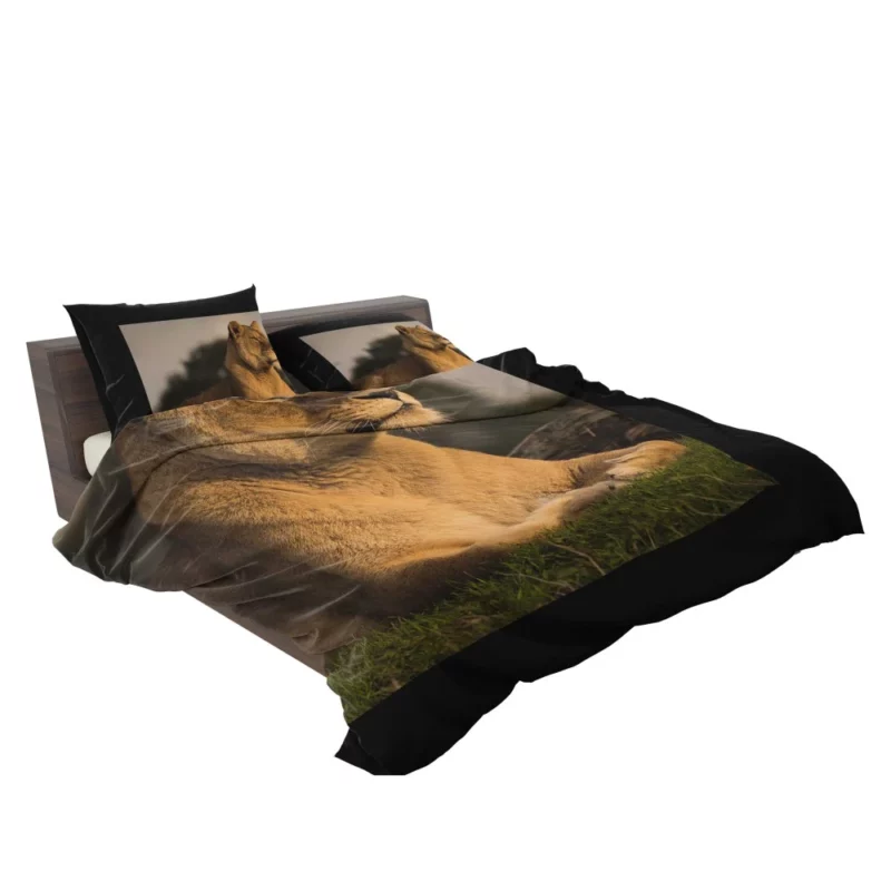 Lion Solitary Bedding Set 2