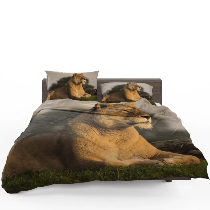 Lion Solitary Bedding Set