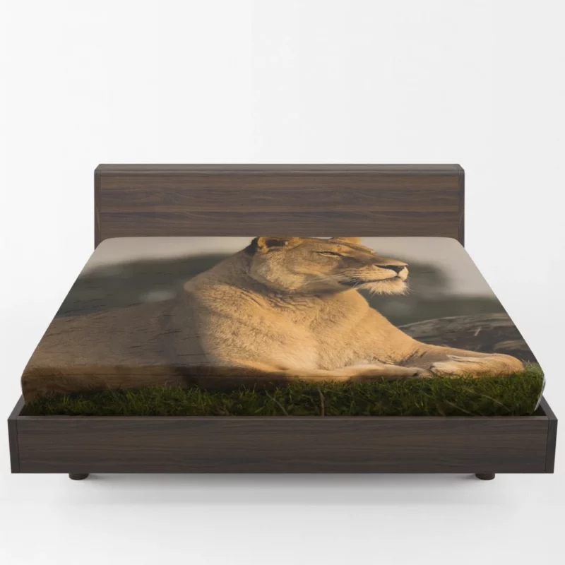 Lion Solitary Fitted Sheet