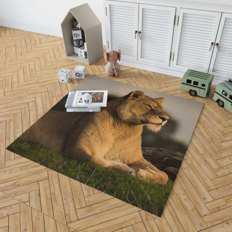 Lion Solitary Rug 1