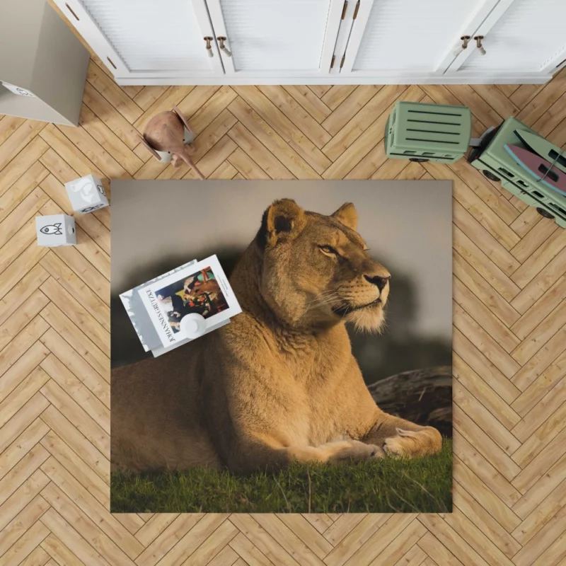 Lion Solitary Rug