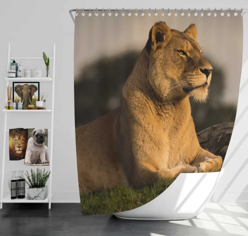 Lion Solitary Shower Curtain