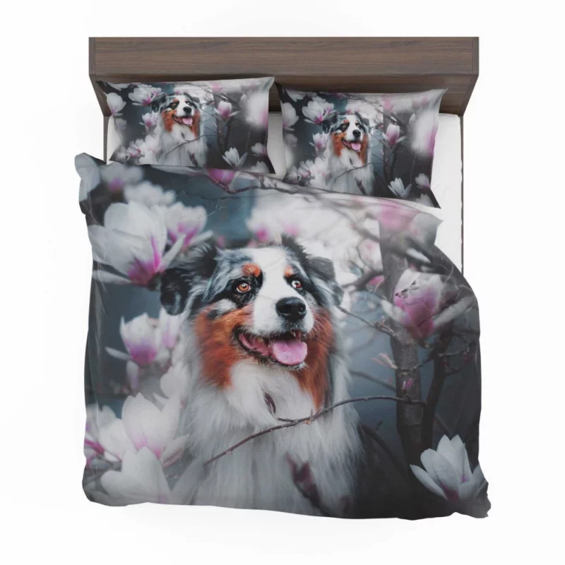 Lion Stare Amidst Sunset Glory Bedding Set 1