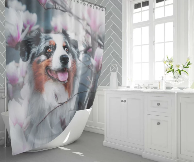 Lion Stare Amidst Sunset Glory Shower Curtain 1