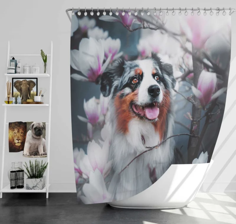 Lion Stare Amidst Sunset Glory Shower Curtain