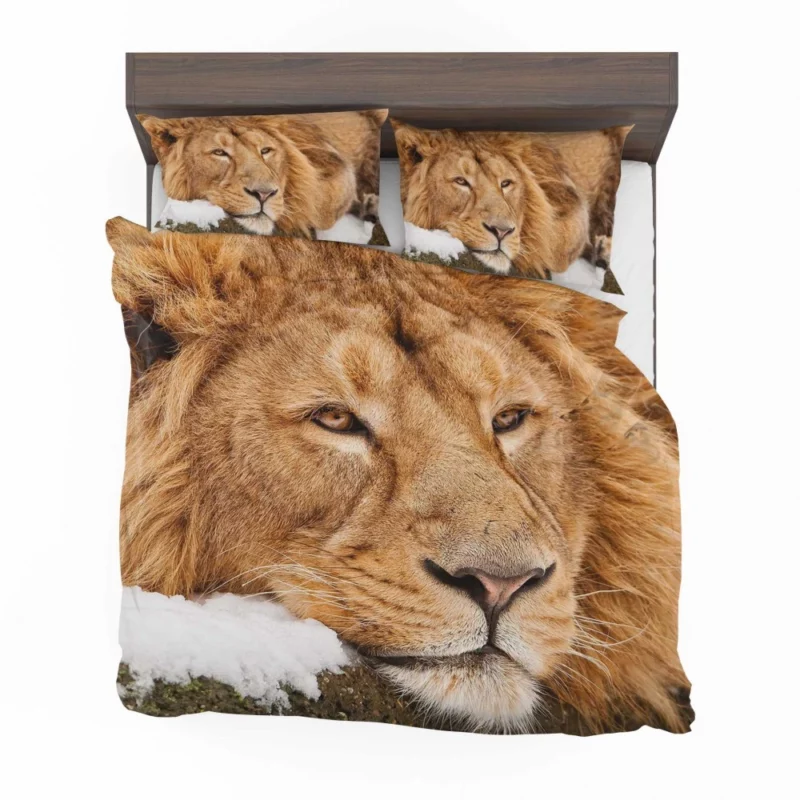 Lion Tenacious Bedding Set 1