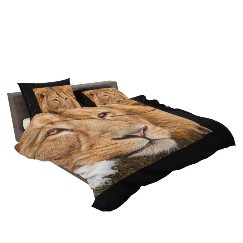 Lion Tenacious Bedding Set 2