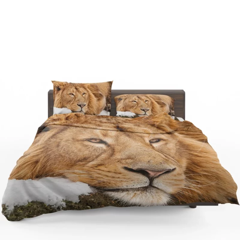 Lion Tenacious Bedding Set