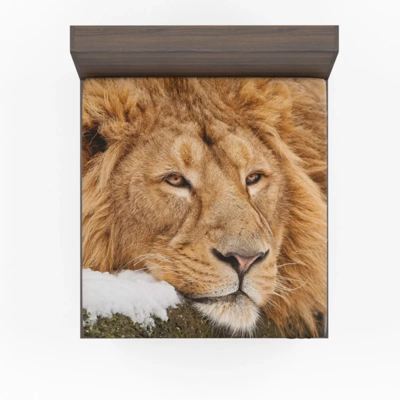 Lion Tenacious Fitted Sheet 1