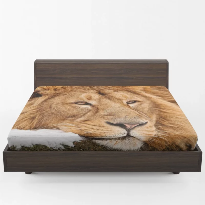 Lion Tenacious Fitted Sheet