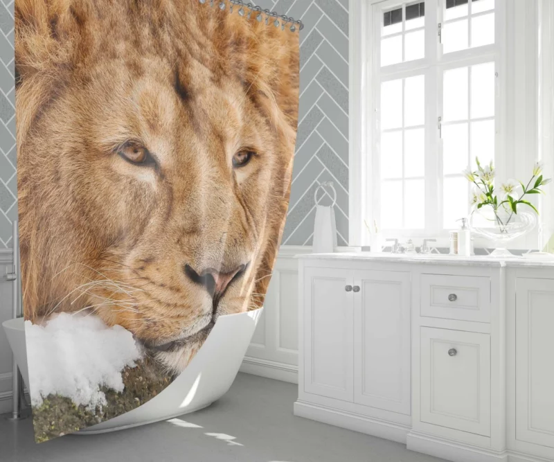 Lion Tenacious Shower Curtain 1