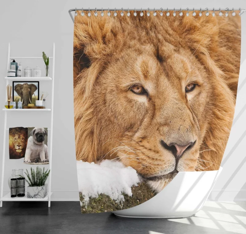 Lion Tenacious Shower Curtain