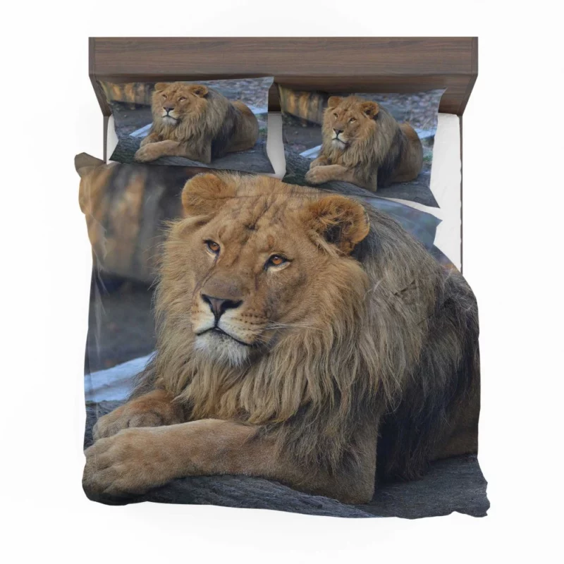 Lion Unrestrained Bedding Set 1