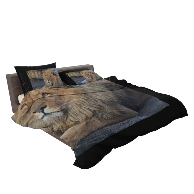 Lion Unrestrained Bedding Set 2