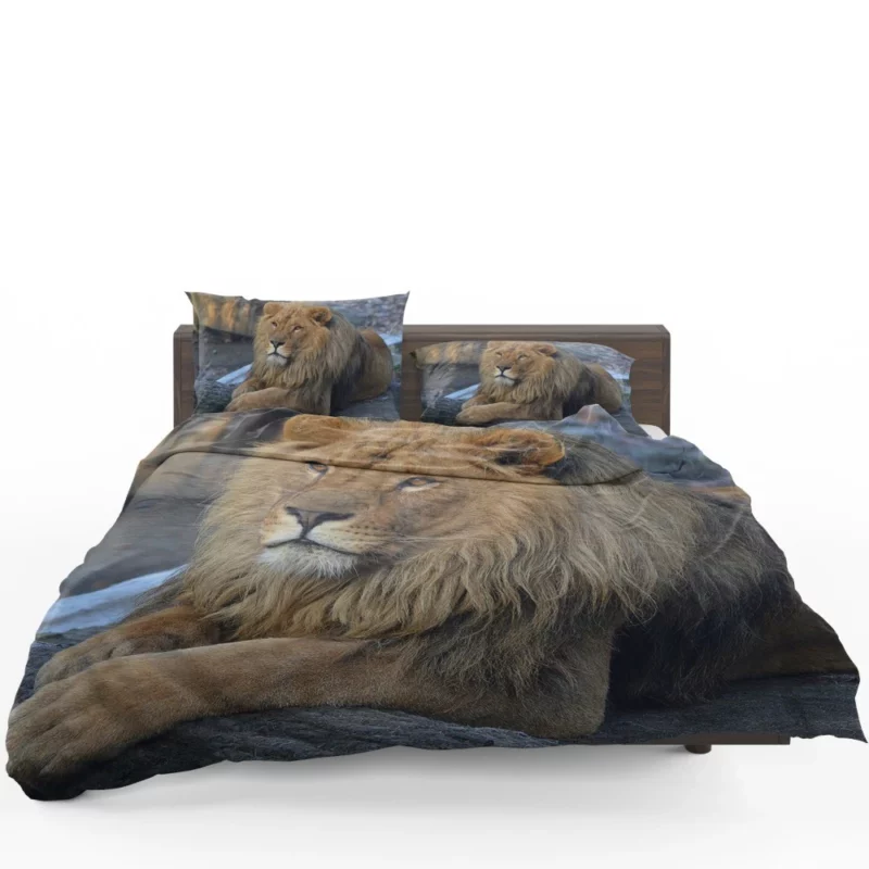 Lion Unrestrained Bedding Set