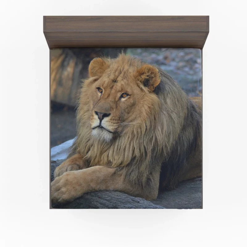 Lion Unrestrained Fitted Sheet 1