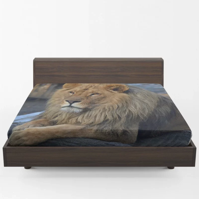 Lion Unrestrained Fitted Sheet