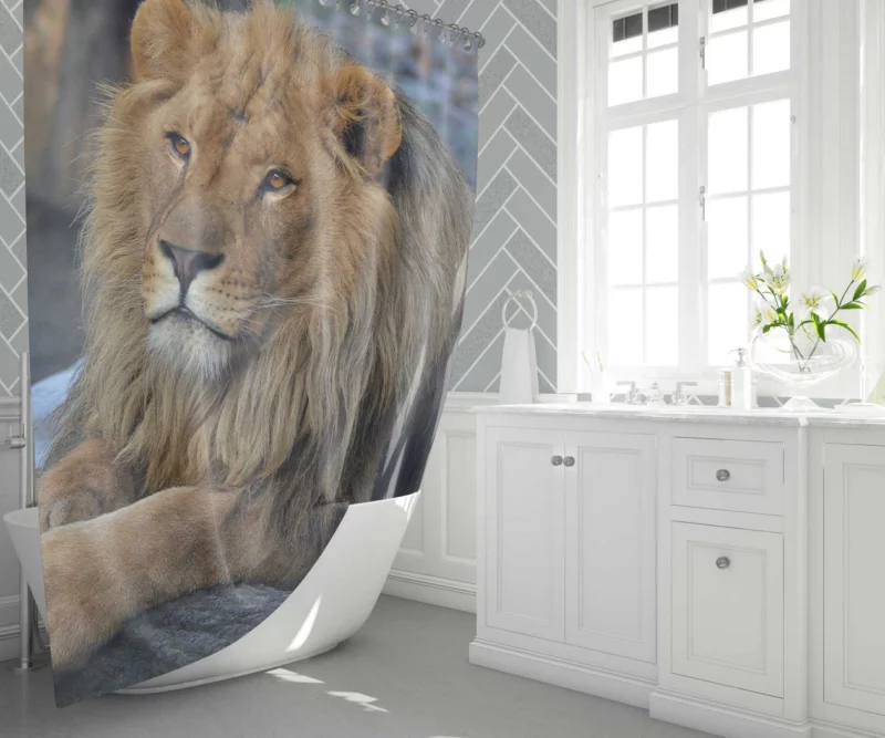 Lion Unrestrained Shower Curtain 1