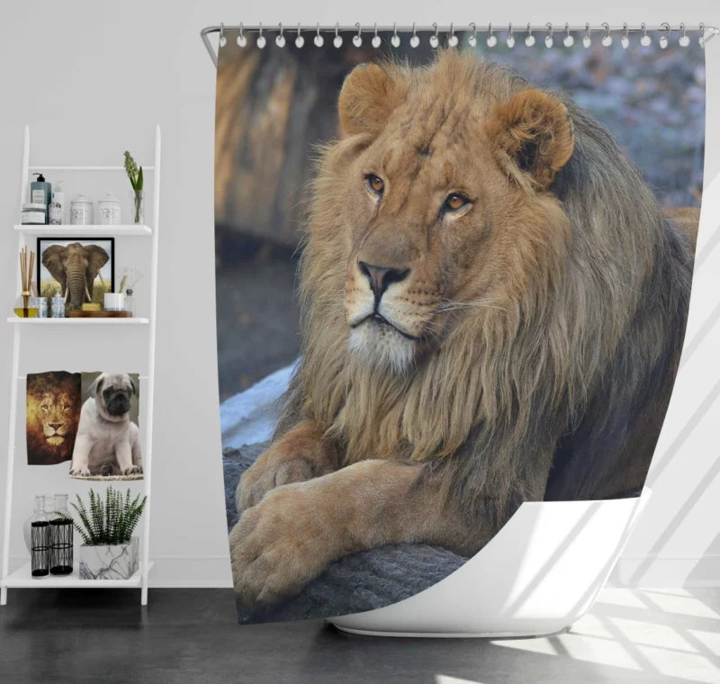 Lion Unrestrained Shower Curtain