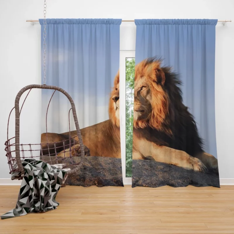 Lion Vibrant Curtain